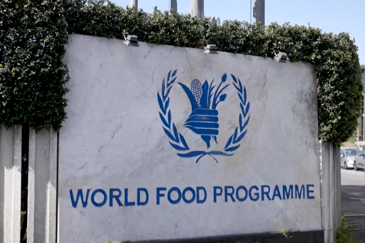 聯合國世界糧食計劃署：海地“瀕臨(lin) 毀滅性的饑餓危機”