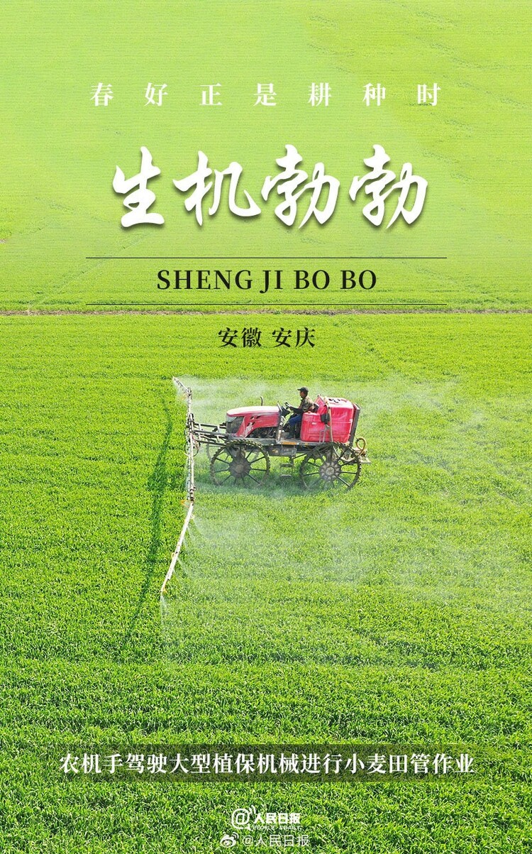生機盎然！用課本封麵打開春耕畫卷