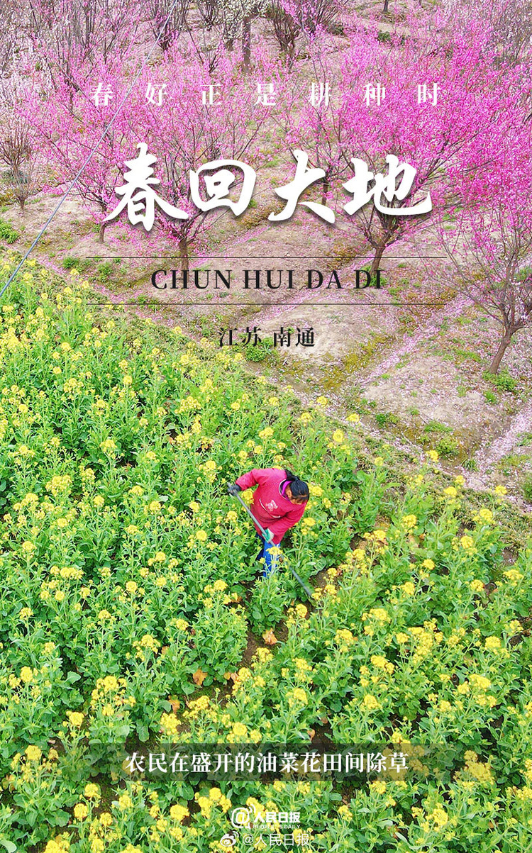 生機盎然！用課本封麵打開春耕畫卷