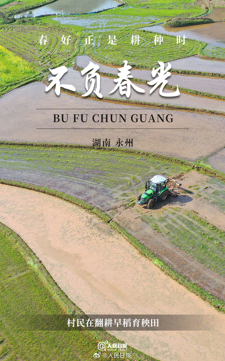 生機盎然！用課本封麵打開春耕畫卷