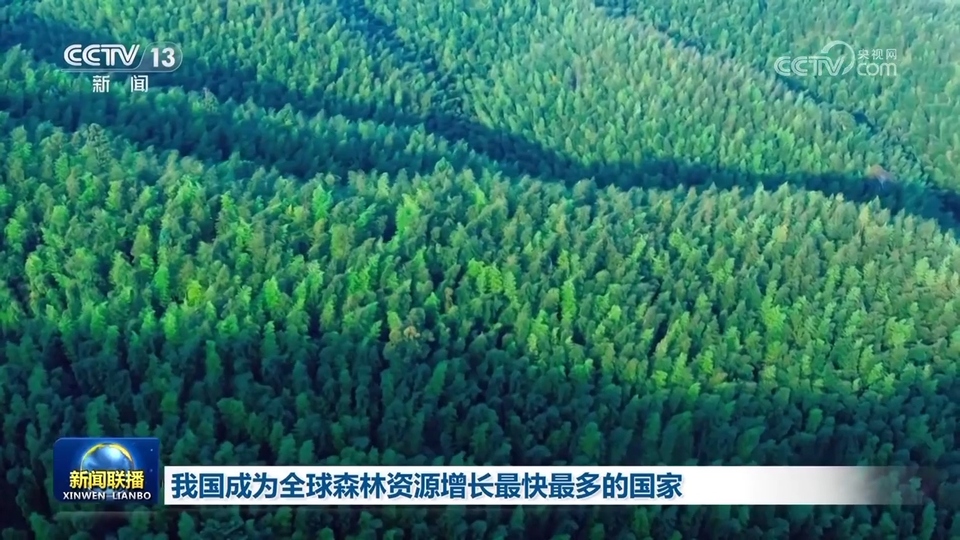 我國成為(wei) 全球森林資源增長最快最多的國家