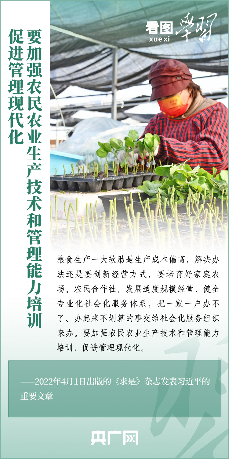 看圖學習(xi) 丨推廣良田、良種、良法、良機 給農(nong) 業(ye) 現代化插上科技的翅膀