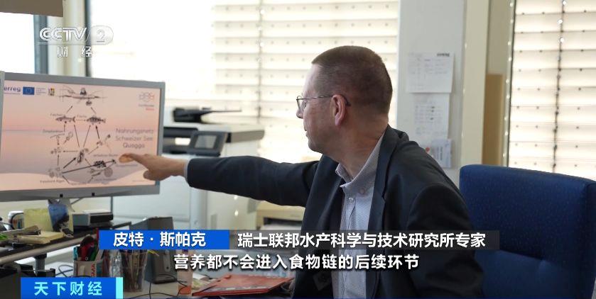 瑞士多個(ge) 湖泊遭外來物種誇加貽貝入侵 生態係統與(yu) 基礎設施遭破壞