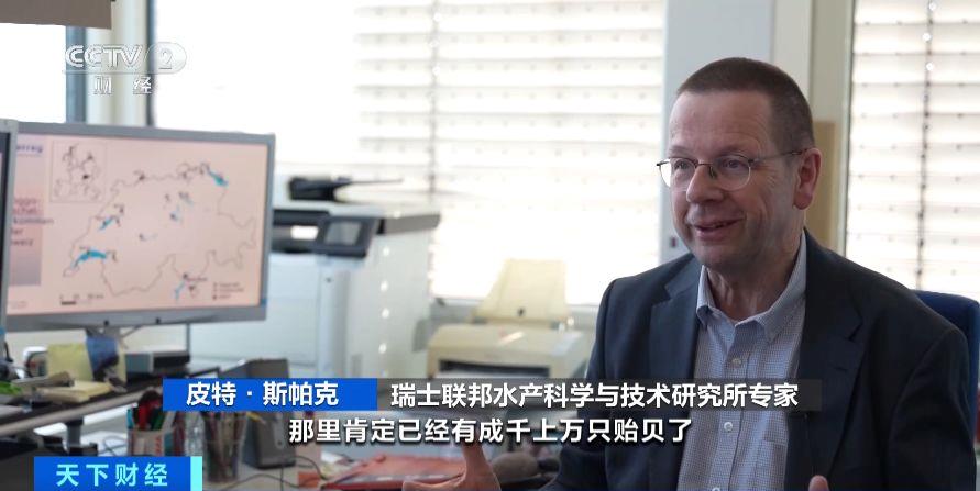 瑞士多個(ge) 湖泊遭外來物種誇加貽貝入侵 生態係統與(yu) 基礎設施遭破壞