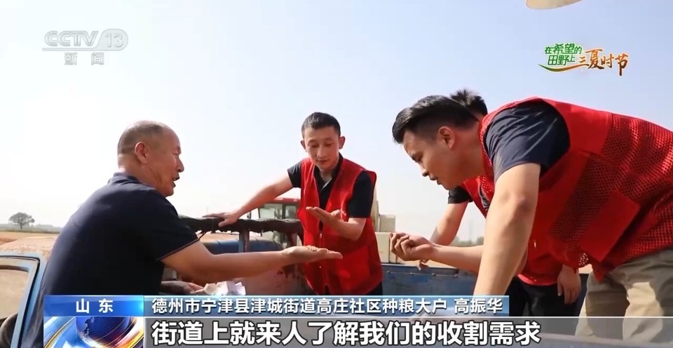 “三夏”生產(chan) 思維導圖安排上了！還有政府大院等你來“曬”