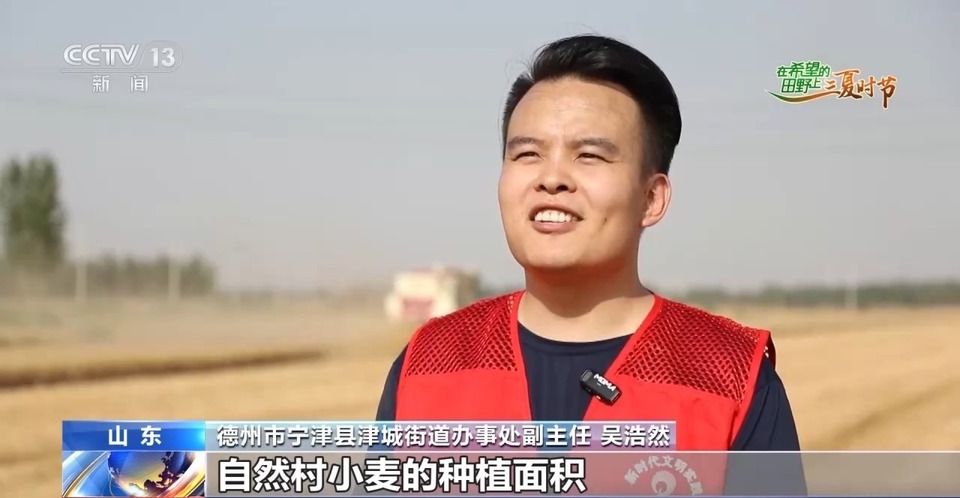 “三夏”生產(chan) 思維導圖安排上了！還有政府大院等你來“曬”