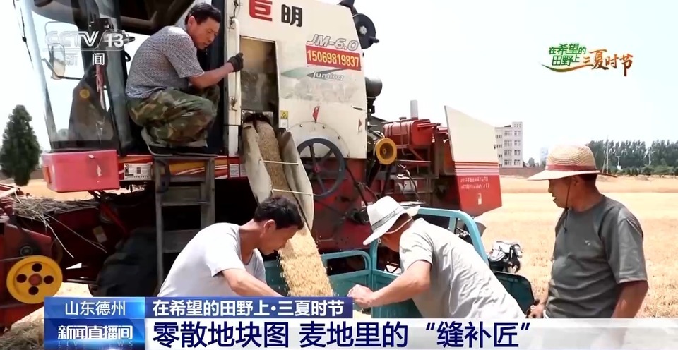 “三夏”生產(chan) 思維導圖安排上了！還有政府大院等你來“曬”