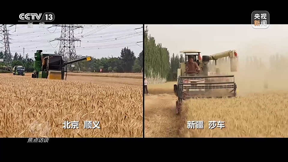 焦點訪談丨一粒良種 萬(wan) 擔好糧 探索農(nong) 作物高產(chan) 高質“新密碼”