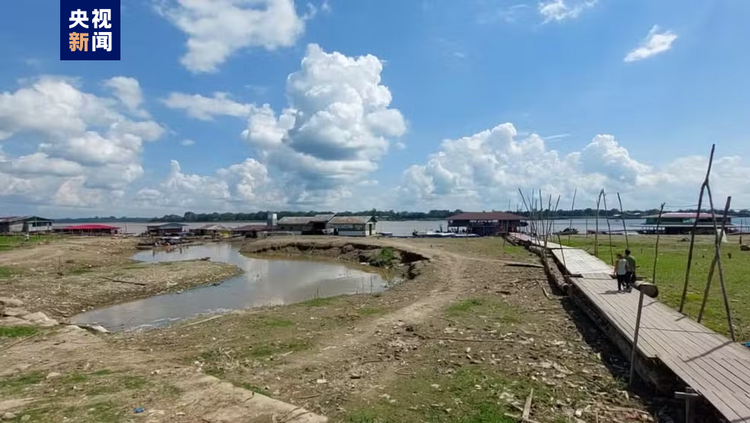 受旱情及火災影響 巴西亞(ya) 馬孫州多地進入緊急狀態