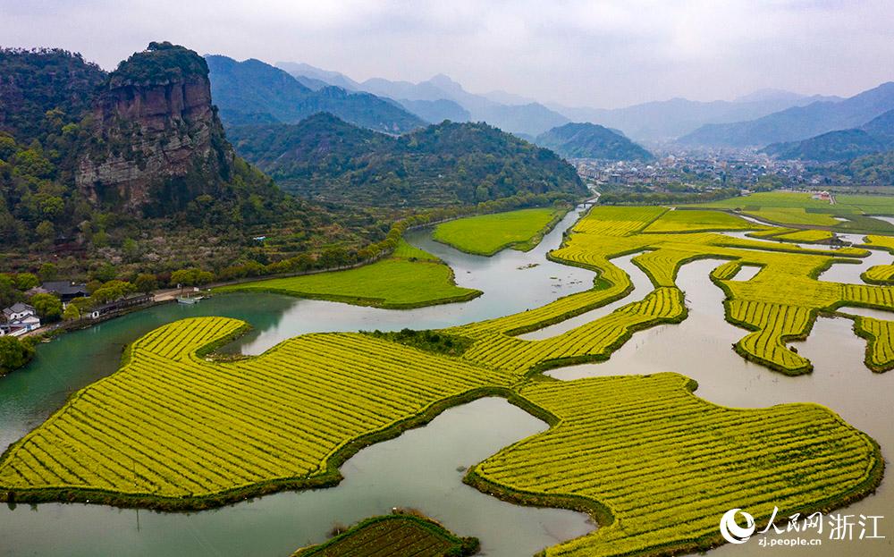 3月28日，航拍浙江省臨(lin) 海市桃渚鎮桃江十三渚盛開的油菜花景色。人民網 章勇濤攝