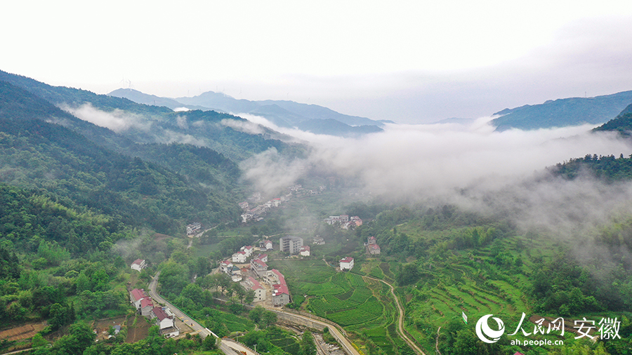 雨後的金寨大灣村，雲(yun) 霧環繞，宛如一幅田園山水畫卷。人民網 張俊攝
