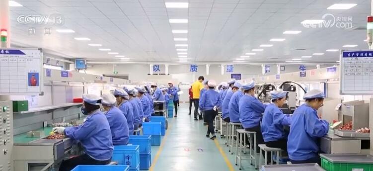 開年拚經濟號角吹響 多領域釋放穩開局積極信號