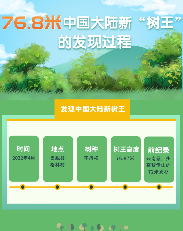 樹王（改1�?.png