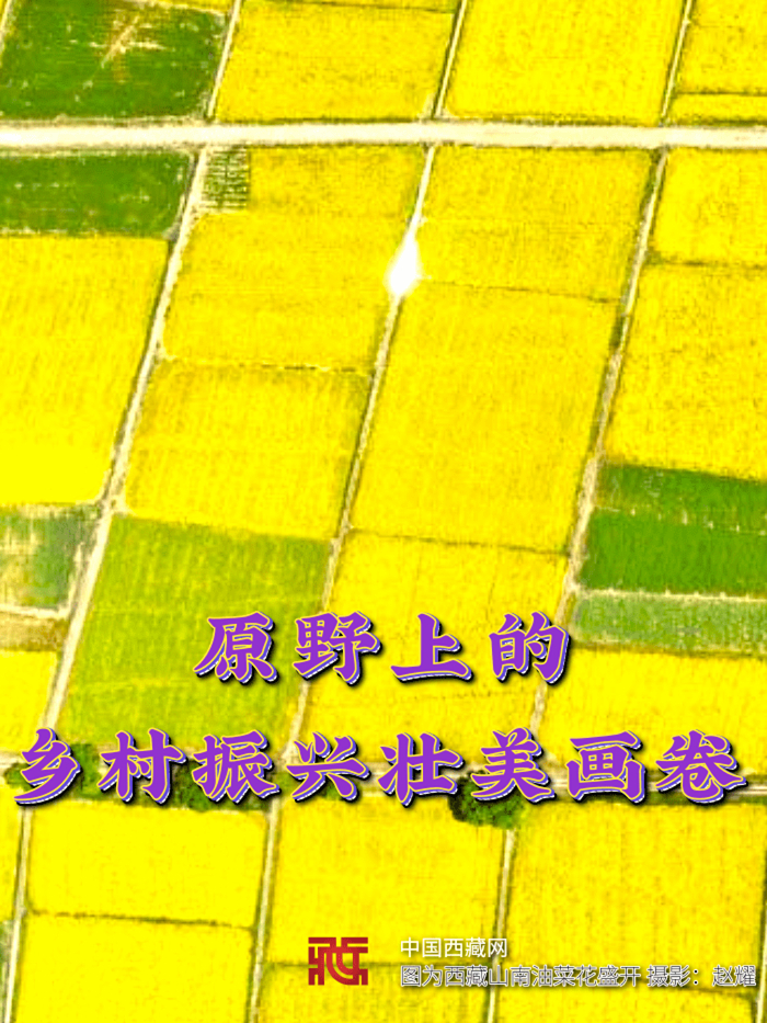 十年答卷•西�? 原野上的鄉村振興壯美畫卷_1@凡科快圖_副本.jpg