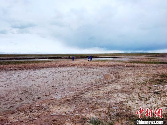 圖為(wei) 救援力量在青海省西部搜救失聯的江蘇南京某大學女生黃某某。海西州藍天應急救援中心 供圖