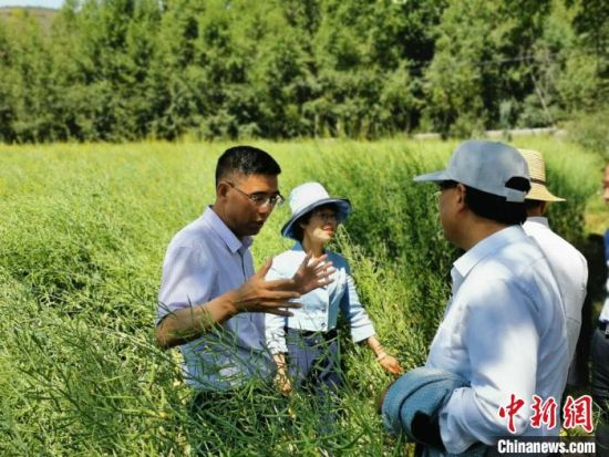 圖為(wei) 九三學社青海省委主委杜德誌(左一)在基層調研。受訪者供圖