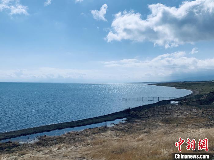 圖為(wei) 青海湖畔。(資料圖) 張傲 攝