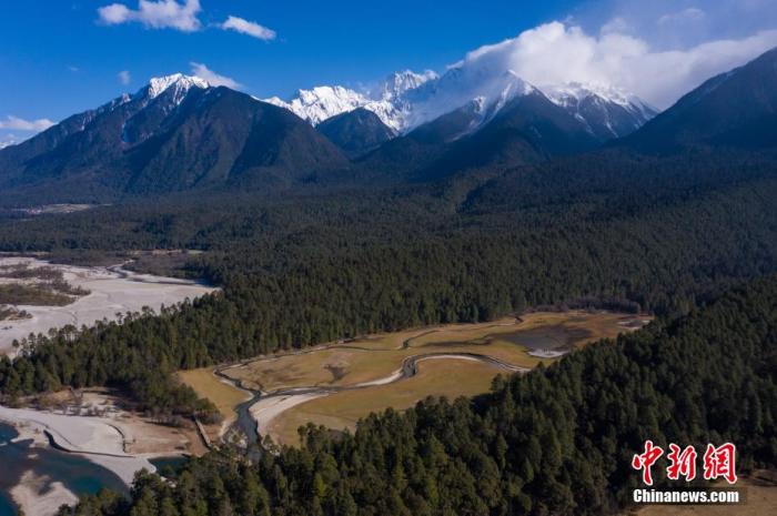 資料圖：西藏崗雲(yun) 杉林與(yu) 遠處的雪峰。 何蓬磊 攝