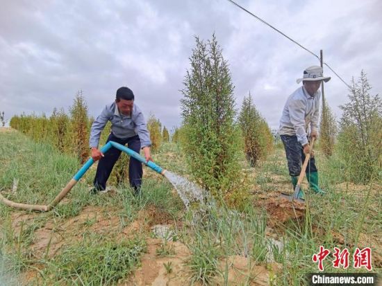 圖為(wei) 紮西和村民給樹澆水。　祁增蓓　攝