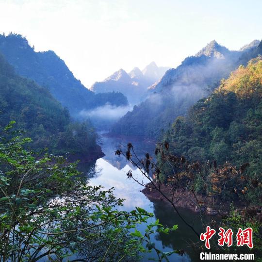 黃荊老林自然保護中心成立探索生態保護與(yu) 社區經濟發展平衡