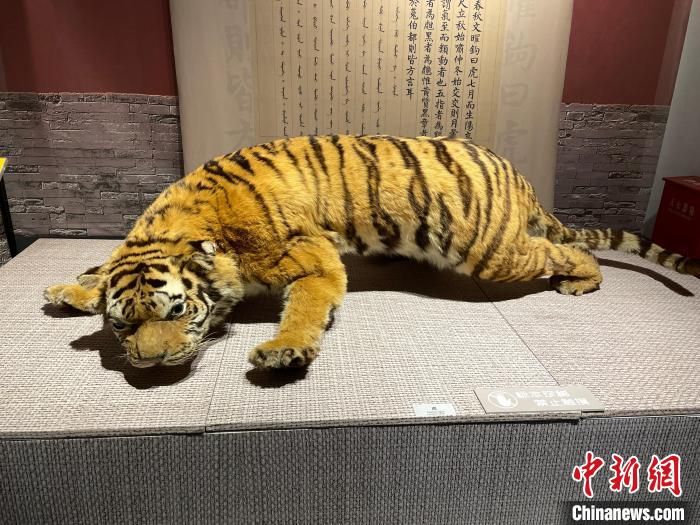 “清宮獸(shou) 譜”展在上海自然博物館開幕以自然科學視角看“神獸(shou) ”