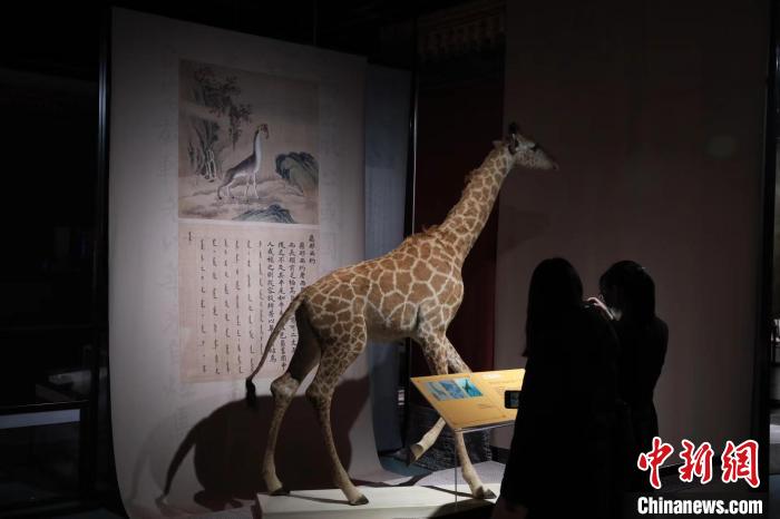 展覽現場 孫樂(le) 琦 攝