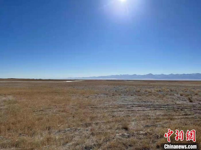 青海茫崖修複生態新增昆侖山下綠化麵積100畝