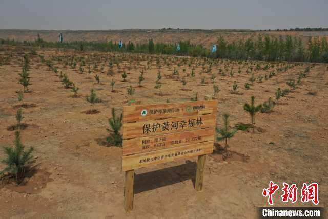 中國3000多萬(wan) 網友用手機為(wei) 黃河種下“幸福林”