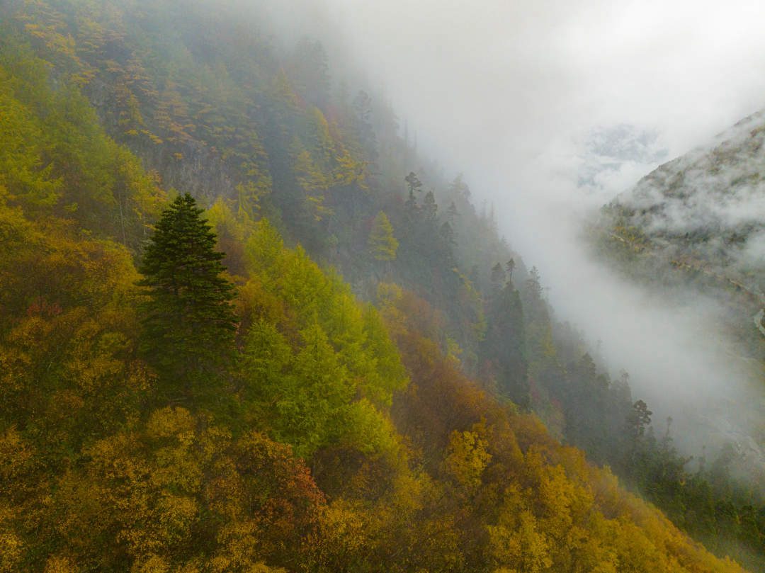 雲(yun) 纏霧繞，層林盡染。