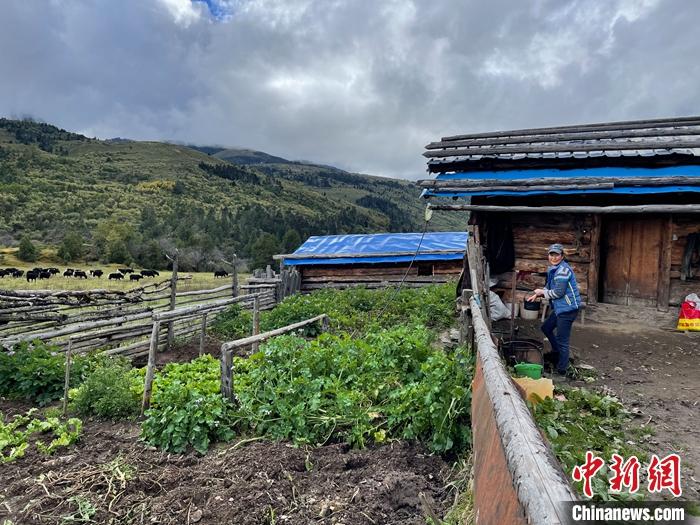圖為(wei) 9月27日牧民的牧屋和菜園子。 <a target='_blank' href='https://www.easyfundingllc.com/'><p  align=