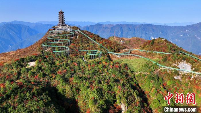 巴山大峽穀彩林迎來最佳觀賞期。　姚盛 攝