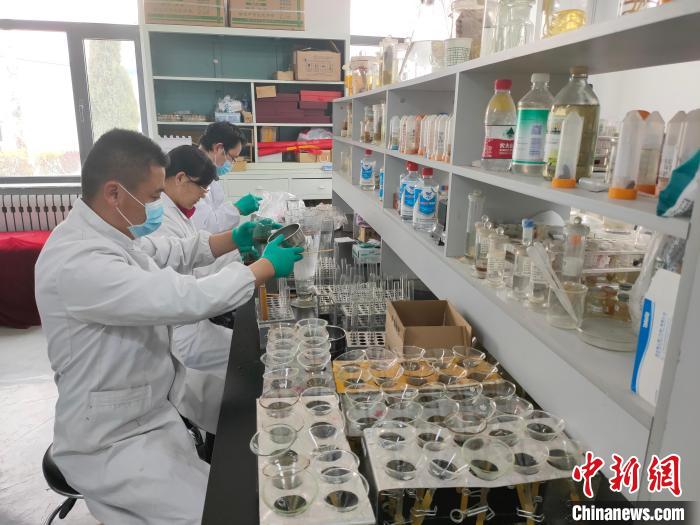 資料圖為(wei) 研究團隊進行樣本檢查。　 青海省畜牧獸(shou) 醫科學院供圖