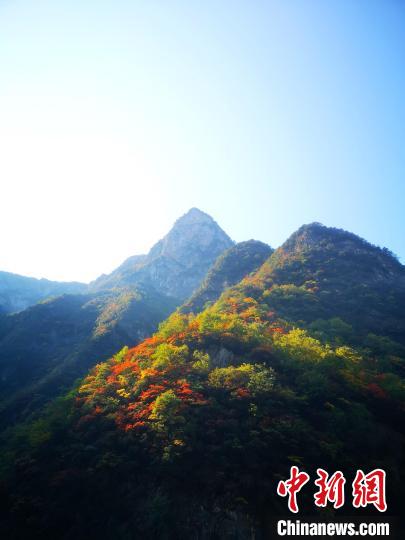 四川萬(wan) 源：紅葉觀賞正當時滿山紅葉層林盡染