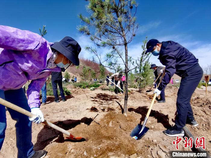 青海掀起春季義(yi) 務植樹高潮今年計劃義(yi) 務植樹1500萬(wan) 株