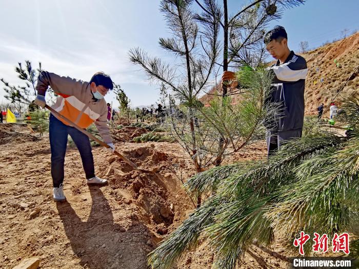 圖為(wei) 西寧市城東(dong) 區義(yi) 務植樹活動現場。　張添福 攝