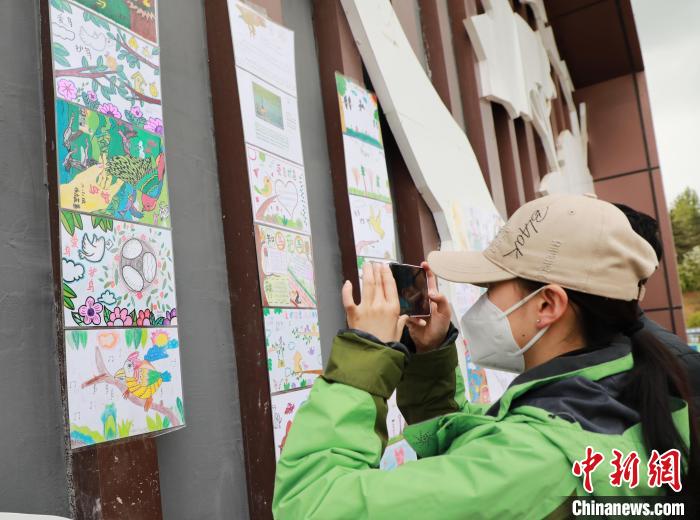 圖為(wei) 遊客參觀學生繪製的多彩鳥類科普卡。　馬銘言 攝