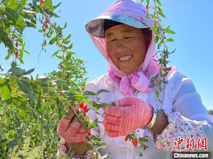 青海：現代農(nong) 業(ye) 產(chan) 業(ye) 園帶動20餘(yu) 萬(wan) 農(nong) 牧民增收