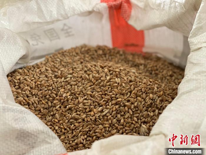 青海：著力6項重點工作確保糧油單產(chan) 提升成效