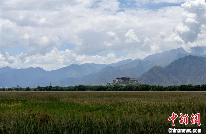 圖為(wei) 拉薩拉魯濕地。　李林 攝