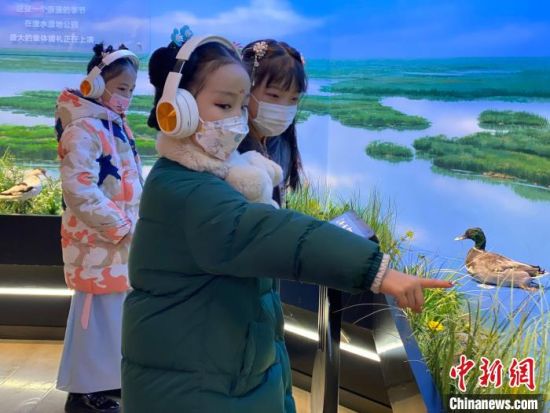 圖為(wei) 學生在西寧市第一中學濕地科普宣教館內(nei) 參觀。　李江寧 攝