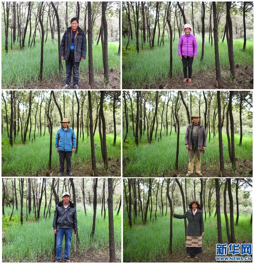（新華全媒頭條·圖文互動）（7）莊重的承諾　曆史的奇跡——西藏自治區決(jue) 戰脫貧攻堅紀實