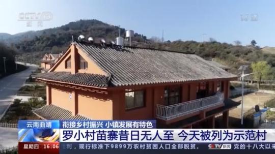 種蘑菇、養(yang) 駱駝...。。特色產(chan) 業(ye) 助力鄉(xiang) 村振興(xing) 走新路