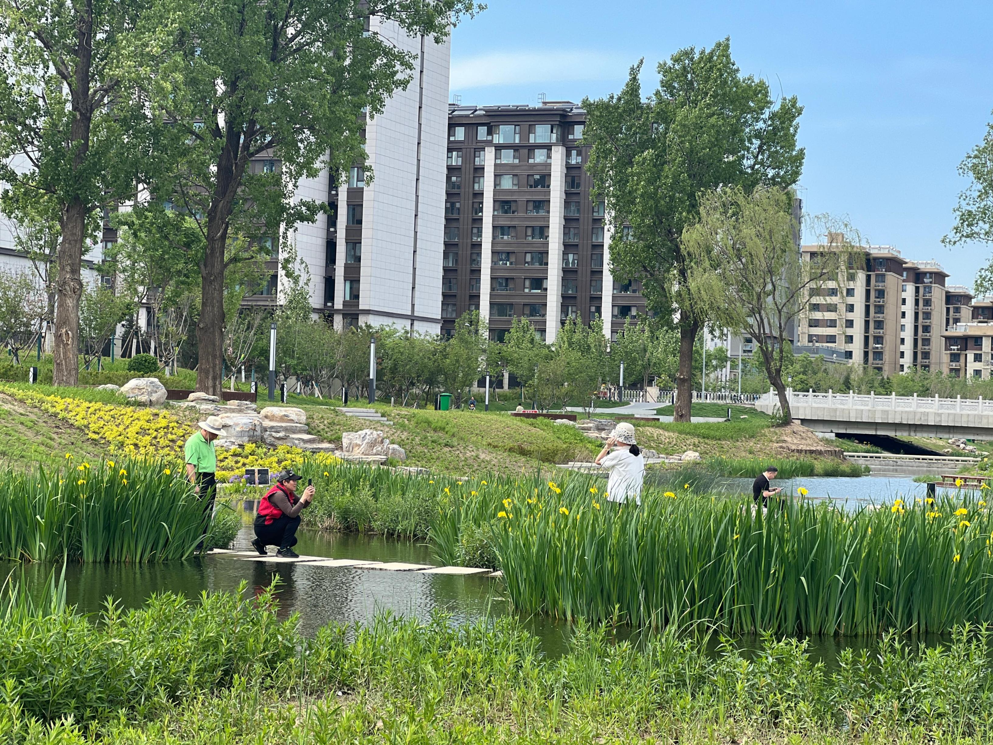 五一渠生態濱河公園內(nei) ，市民正在拍照留念。人民網 歐陽易佳攝