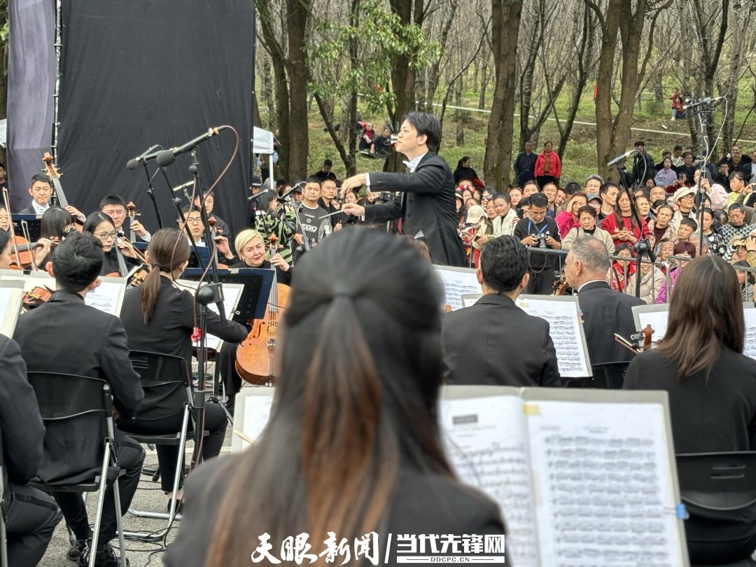 貴陽路邊音樂(le) 會(hui) ·貴安櫻花園專(zhuan) 場交響樂(le) 現場。丁亞(ya)  文丹 攝