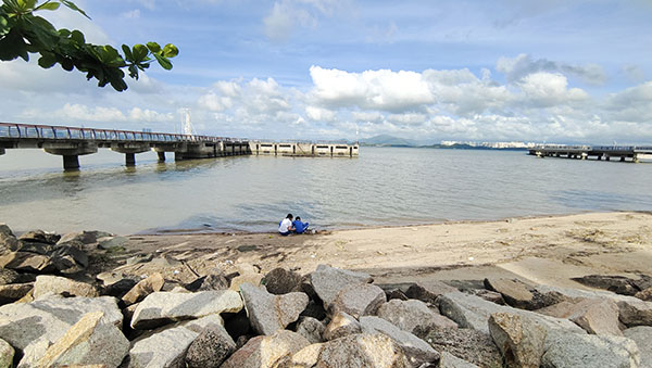 深圳紅樹林灘塗，留給了孩子們(men) 親(qin) 近自然的空間。人民網記者 李彤攝