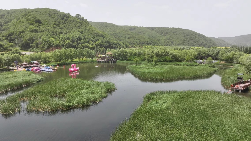 【高質量發展調研行】延安：“紅”與(yu) “綠”交相輝映