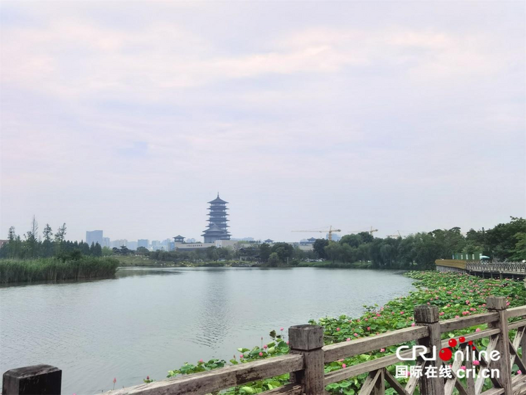 【何以中國 運載千秋】運河“原”點城市揚州 隨運河而生依運河而興(xing) _fororder_圖片10