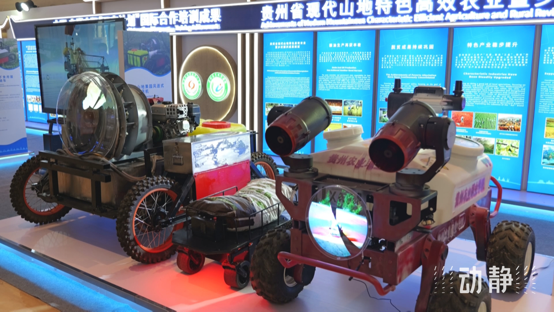 展示成果分享經驗，中國—東(dong) 盟教育交流周深化合作共創未來！