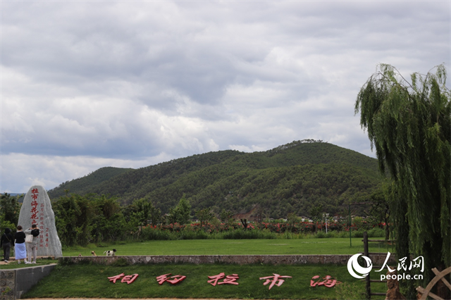 麗(li) 江市拉市海景區。 人民網記者 程浩攝
