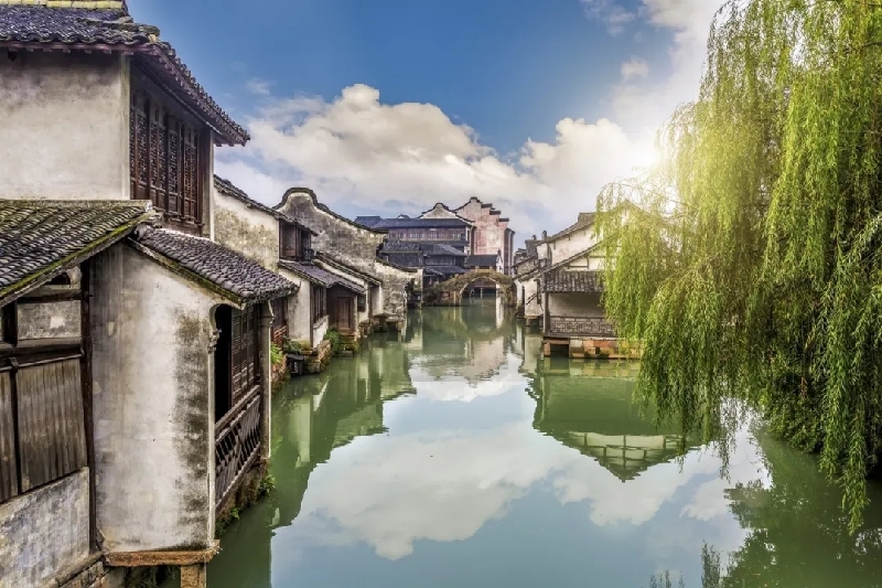 烏(wu) 鎮動觀察｜這個(ge) 字，牽起國際交流互鑒之紐帶